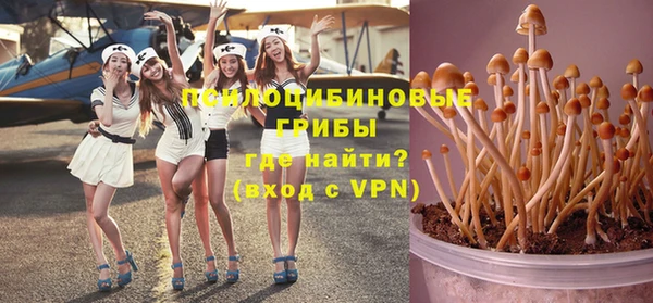 прущая мука Новодвинск