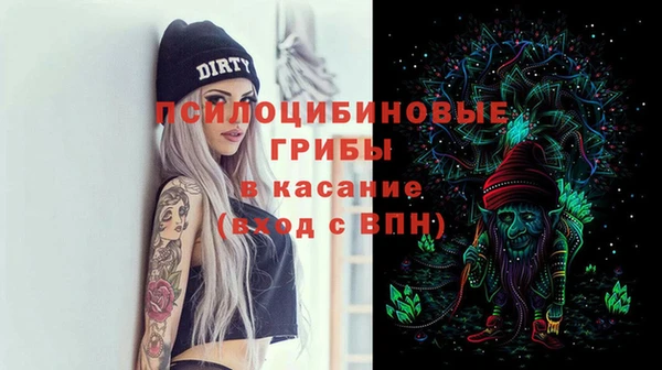 мяу мяу мука Абаза